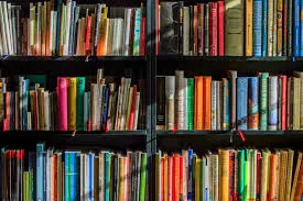 Self Publishing Services by Premium Publishing Experts