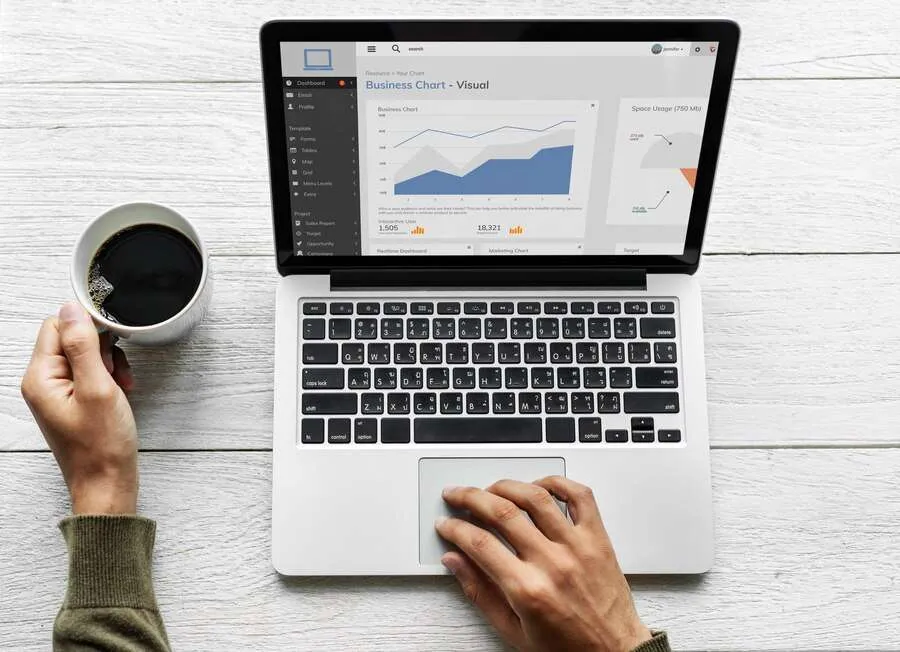 Search Engine Optimization Service by Premium Publishing Experts